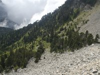 F, Isere, Gresse-en-Vercors, Pas de la Selle 46, Saxifraga-Willem van Kruijsbergen